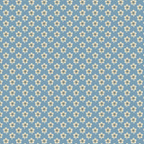 Blue Sky 8510 -W