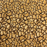 100 % Cotton Fabric: Final Clearance 1m for only $6