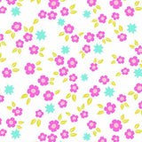 COLOR POP PLAYGROUND - A1694L - 100% Cotton