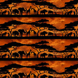 AFRICAN SAFARI SILHOUETTE STRIPE - 0223E