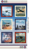 AIRFORCE CENTENARY BLOCK PANEL N141- 0196B