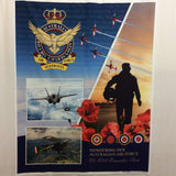 Air Force Centenary Panel 0196 A N97