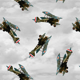 AIRFORCE CENTENARY TIGER MOTH AIRCRAFT CLOUDY - 0196E