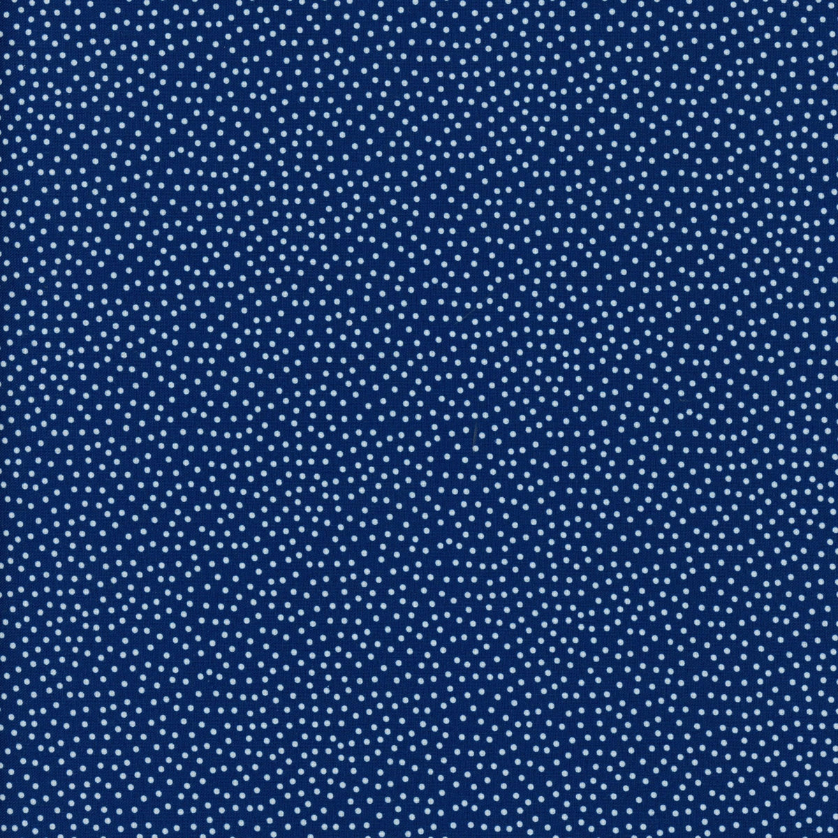 FAT 8TH AS PICTURED 50CM X 25CM (sold individually)