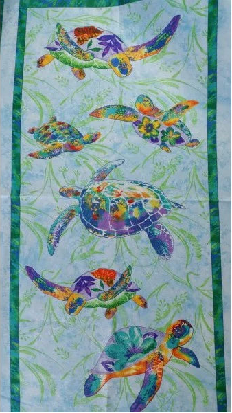 Calypso Turtles - Panel