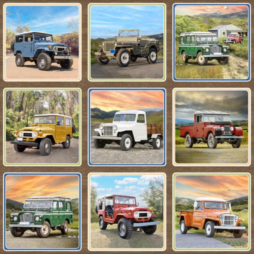 Cars For The Country Side Landrovers Panel