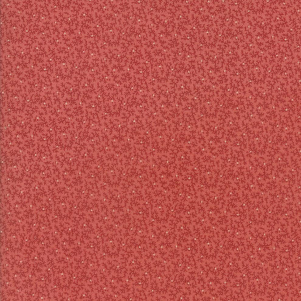 Compassion Collection for a Cause - MS M4625117