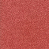 Compassion Collection for a Cause - MS M4625117