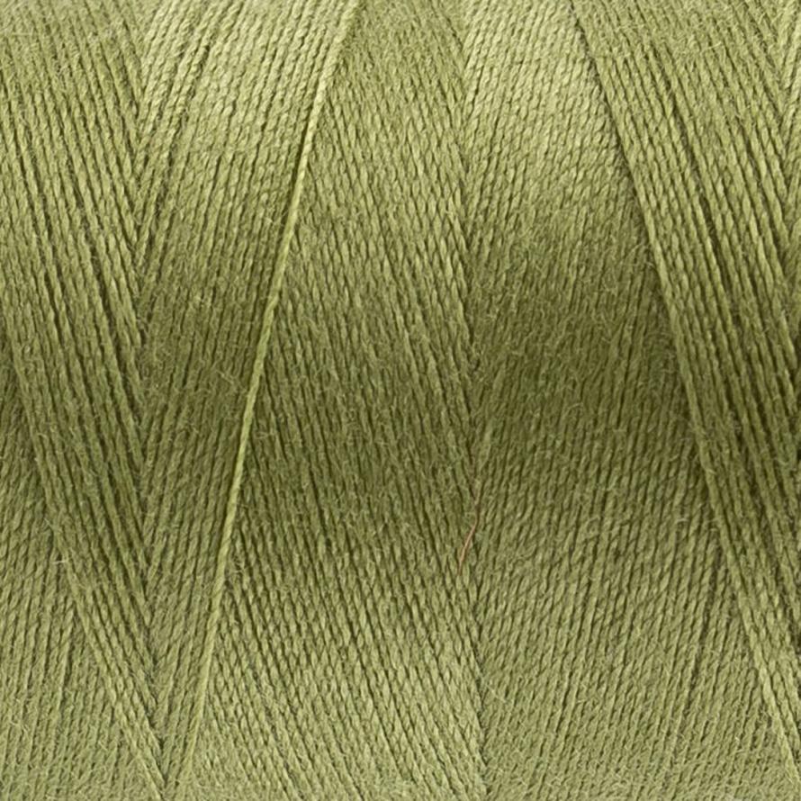Thread - Designer Polyester - 40Wt - DS228 - Wild Willow