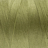 Thread - Designer Polyester - 40Wt - DS228 - Wild Willow