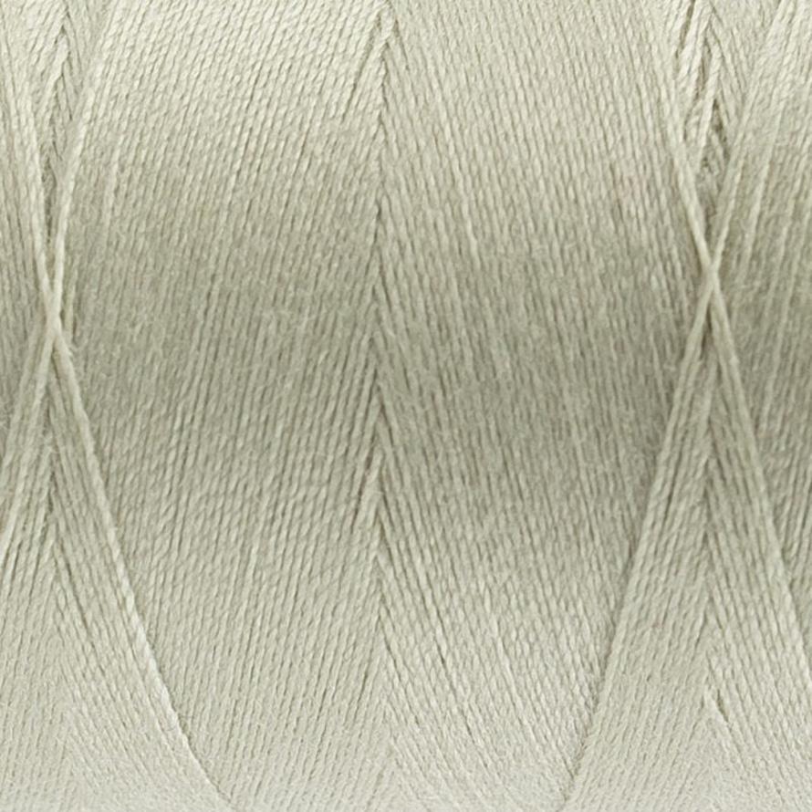 Thread - Designer Polyester - 40Wt - DS883 - Rice Flower