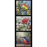 Wildlife Art Panel - Rainbow Lorikeets, Kingfishers & Fairy Wrens