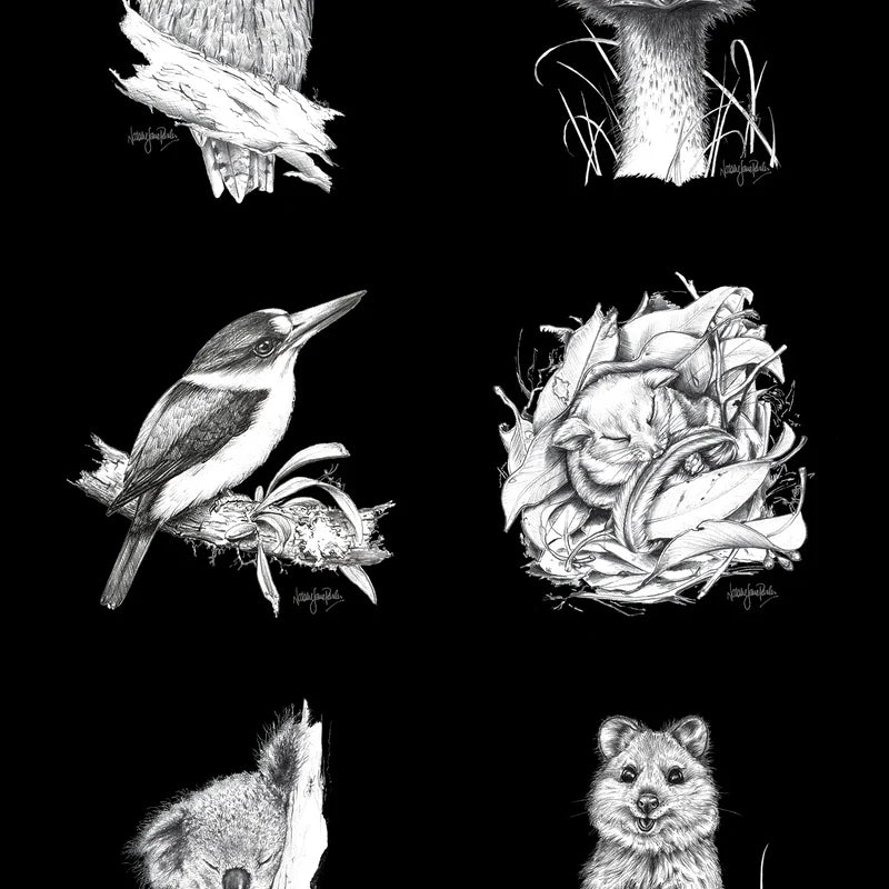 Wildlife Art Australian Animals Panels designed by Natalie Jane Parker for Devonstone -