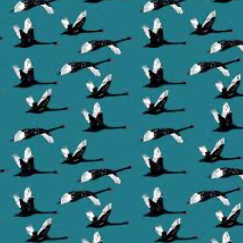 Devonstone Birds Red Parka Fabric DV6290