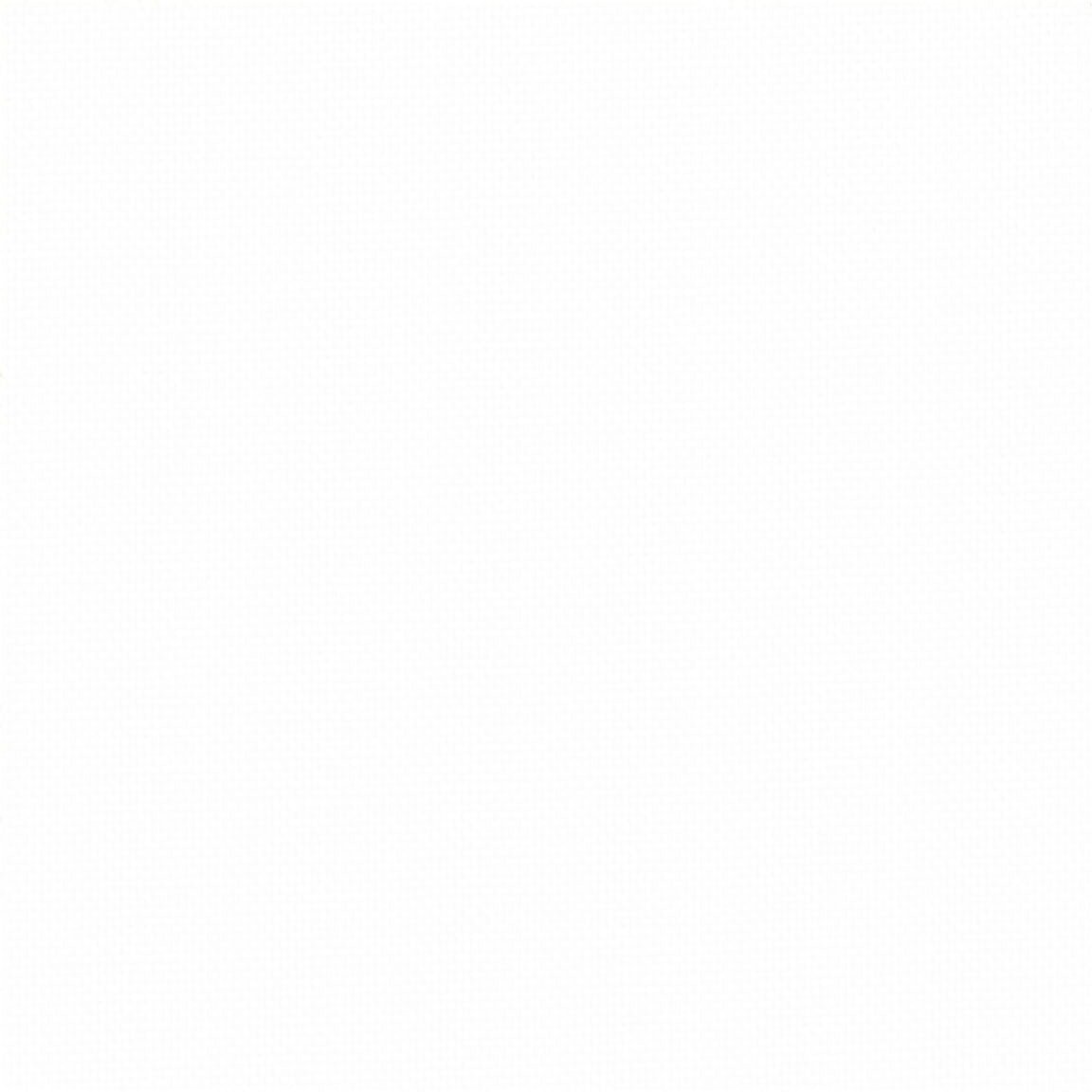 Devonstone Solids 002 BRIGHT WHITE