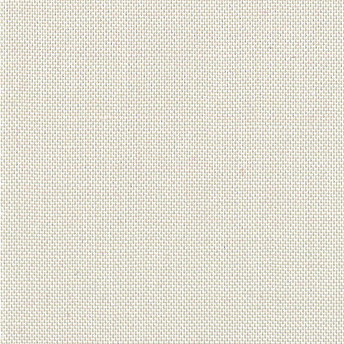 Devonstone Solids 017 STONE  FOSSIL