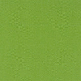 Devonstone Solids 134 CORAL GREEN