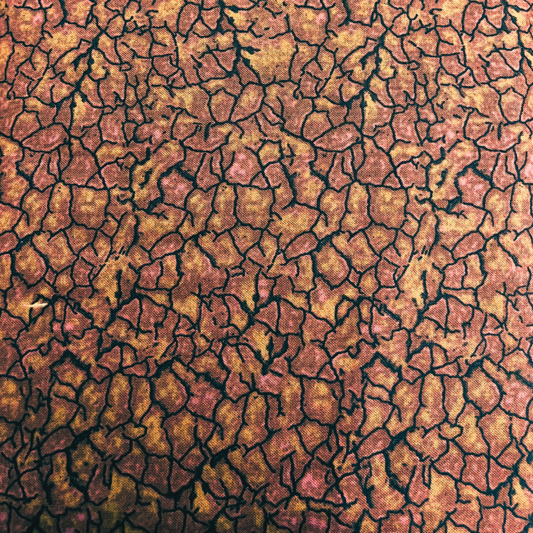 Dinosaur Dreams Chris Sanchez 100% Cotton Fabric WOF 110cm-112cm