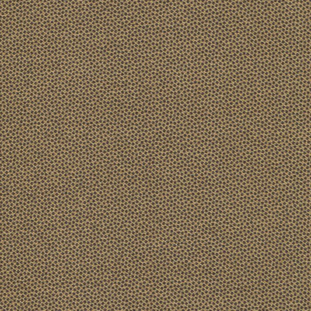 Dutch Heritage – DHER 1503 Pindots Mustard