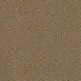 Dutch Heritage – DHER 1503 Pindots Mustard