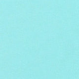 Essex 1005 Aqua RKE0141005 Cotton Linen