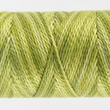 Thread - Egyptian Cotton - Sue Spargo Eleganza - SSEZM12 - Inchworm - 38.4m/42yd