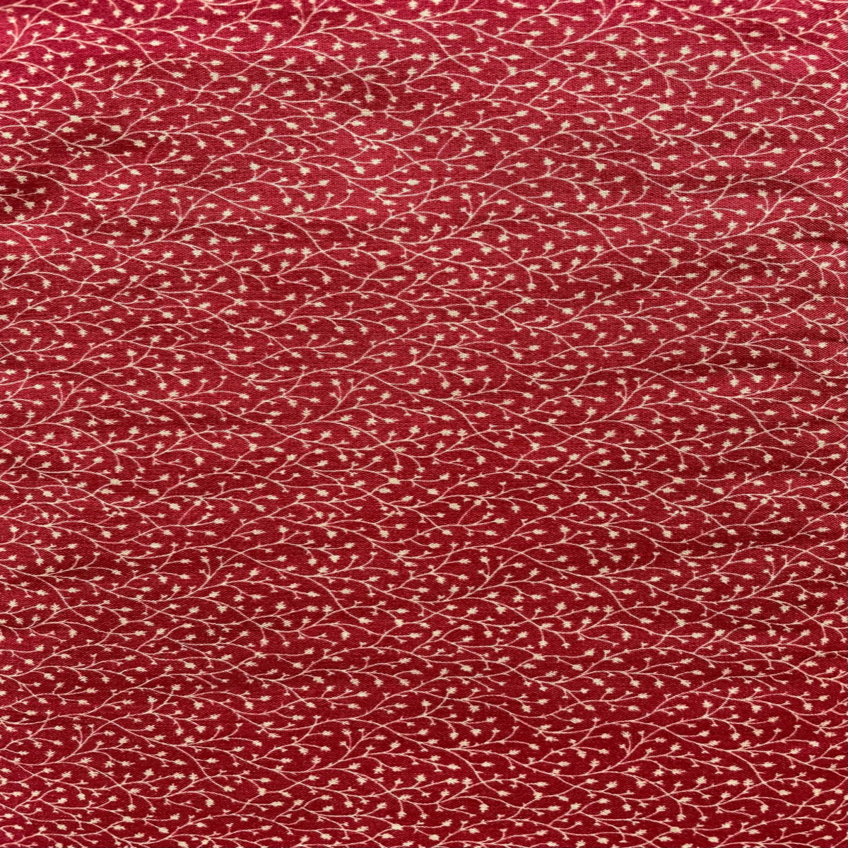 Edith 40163-5
