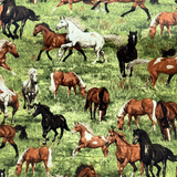 Horse Fabric 100% Cotton Fabric WOF 110cm- 112cm