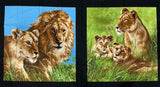 Lions Panel