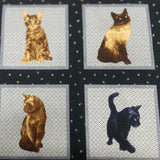 100 % Cotton Fabric: Final Clearance 1m for only $ 6