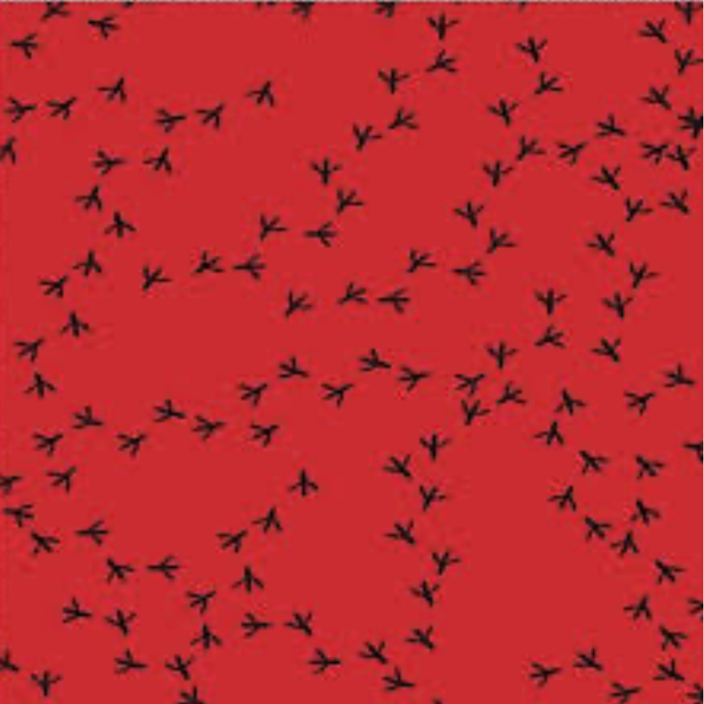 100% Cotton Fabric WOF 110cm-    112cm