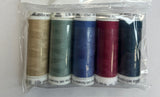 Set of five spools of thread in various colors with a clear plastic packaging on a white background.