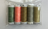 Set of five spools of thread in various colors in a clear plastic package with a white background.