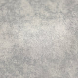 A close-up of a light gray to off-white textured surface with a mottled, stone-like or concrete-like pattern.