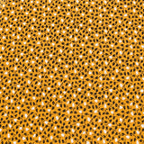 100% Cotton  Fabric