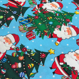 Quilting Treasures Fabric Christmas Favourites 2600-30329-B