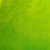 Northcott Fabrics Rejoice Green