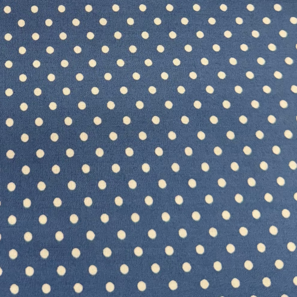 Victorian Textiles - Blue & White Dots