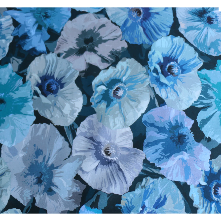 Liberty Tana Lawn™ Poppy Wonder 03633146B 136cm WOF