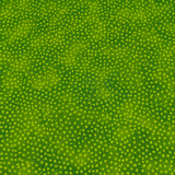 100% Cotton Fabric