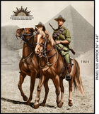 Milvale Design Studio (L01) Light Horse Panel/ HTLB/ 7117
