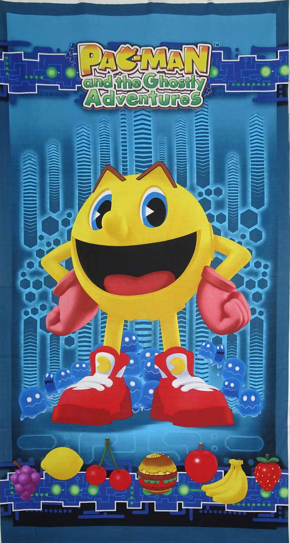 Pac-man and the Ghostly Adventures Panel