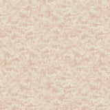 First Blush – R210662D Moire Blush - 100% Cotton