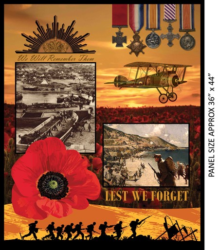 REMEMBERING WWI PANEL - N30