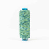 Thread - Egyptian Cotton - Sue Spargo Eleganza - SSEZM21 - Birds Eye View - 38.4m/42yd