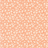 Apricot Dainty Meadow M31745 19