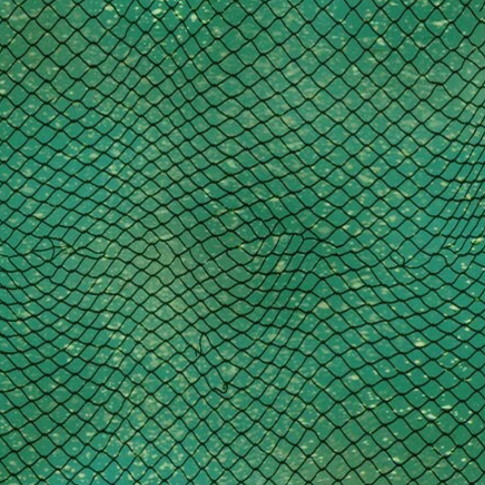 KK Fabric Gone Fishing: Freshwater Allover