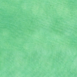 Mint Green, Palette # 37098-35, by Windham Fabric
