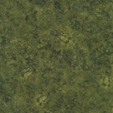 Leonardo Da Vinci Olive Green by Kaufman 20101-49 Fabric
