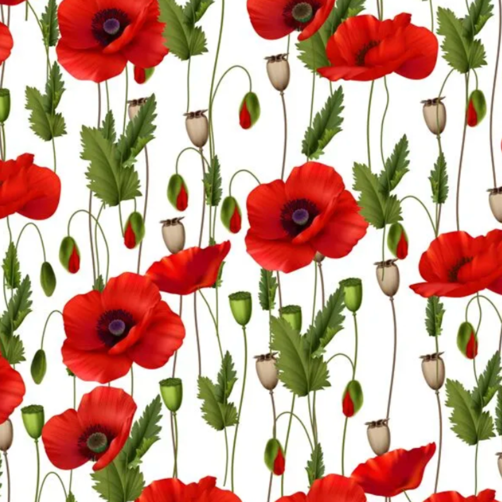 KK Fabric Remembering Poppies White
